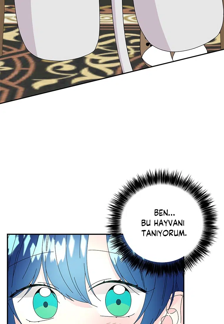 Büyünün Varisi - Bölüm 148 Sayfa 63