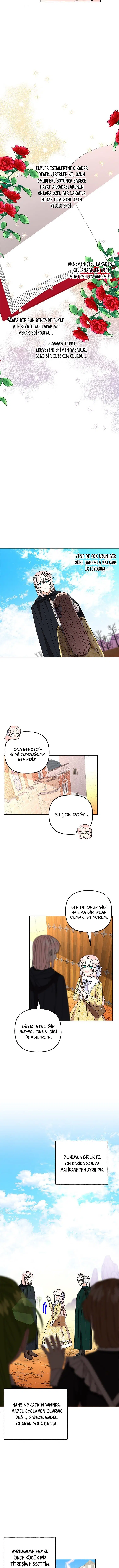 Büyünün Varisi - Bölüm 152 Sayfa 4