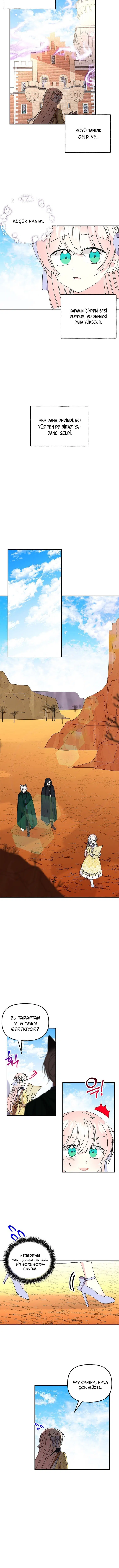 Büyünün Varisi - Bölüm 152 Sayfa 5