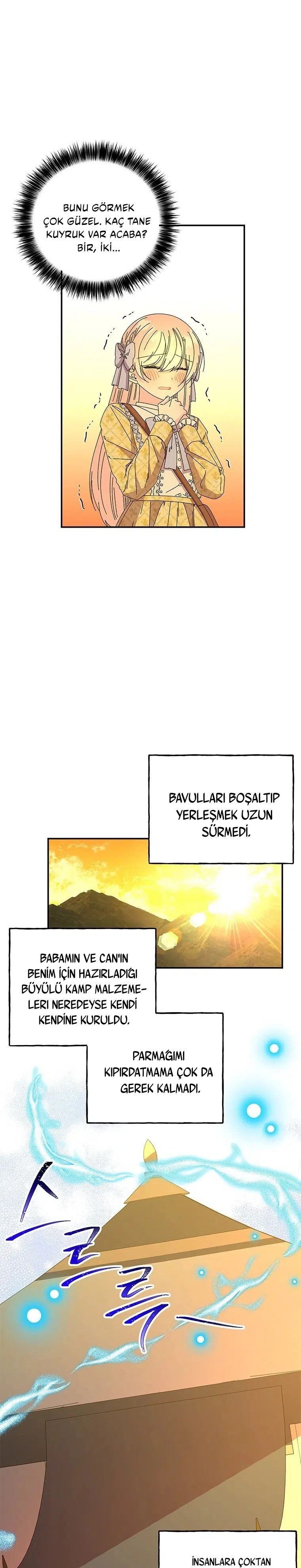 Büyünün Varisi - Bölüm 156 Sayfa 13