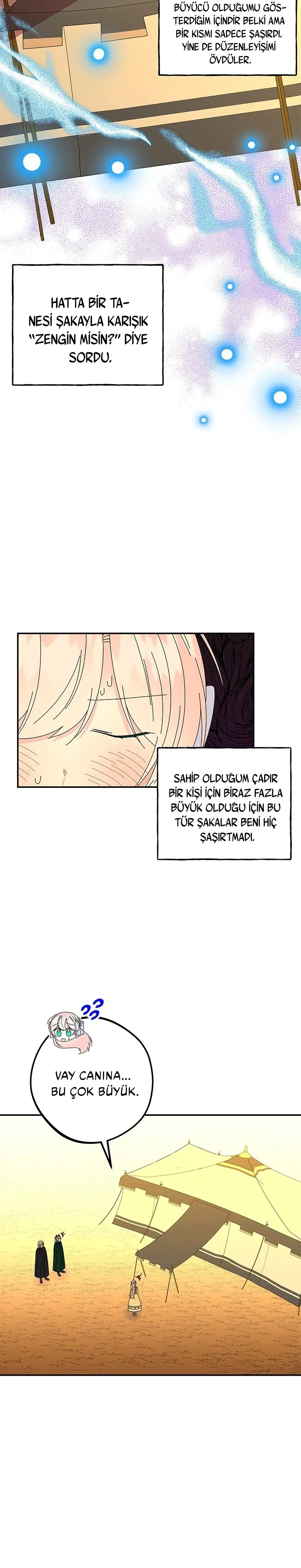 Büyünün Varisi - Bölüm 156 Sayfa 14