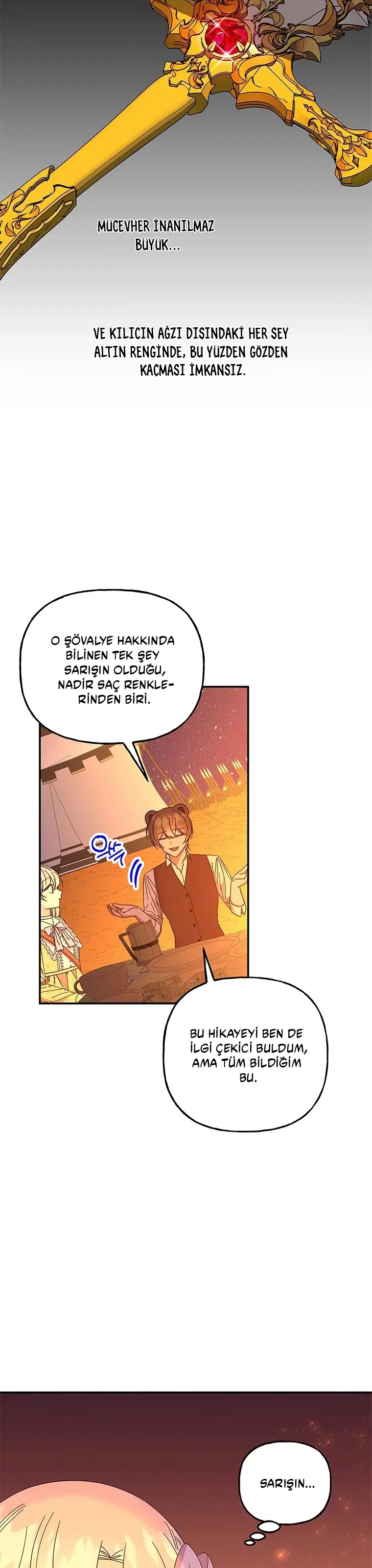 Büyünün Varisi - Bölüm 160 Sayfa 14