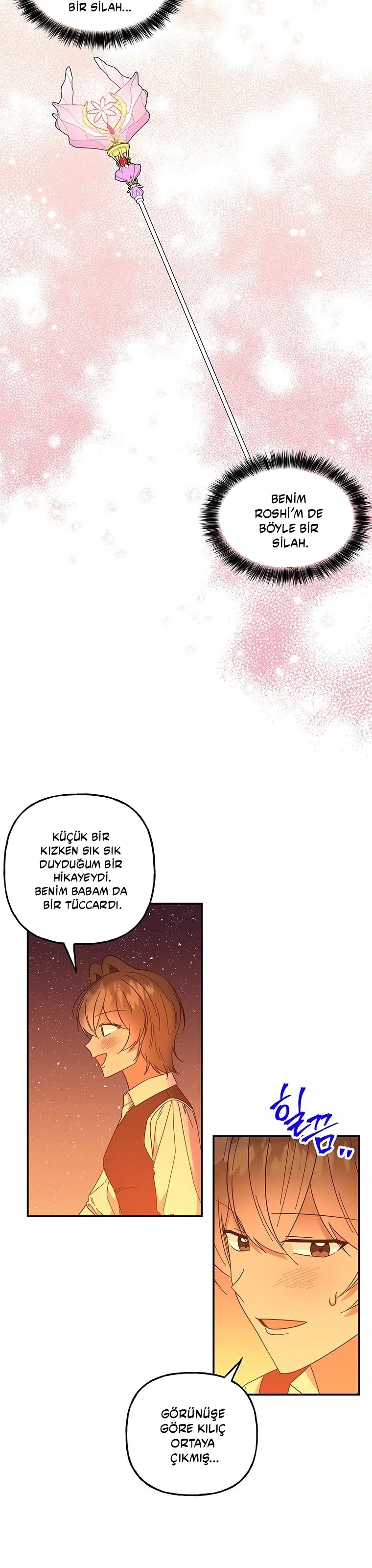 Büyünün Varisi - Bölüm 160 Sayfa 30