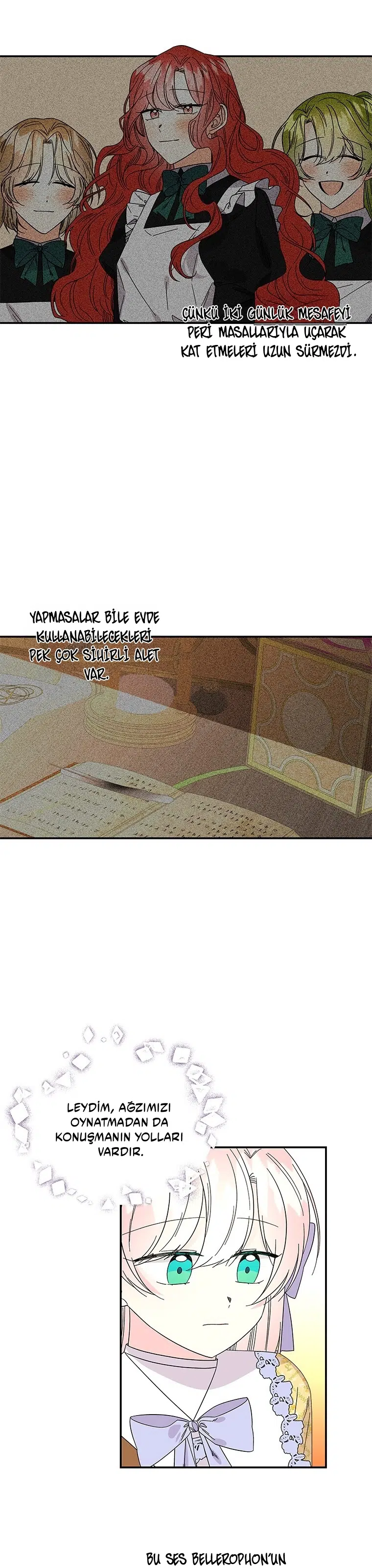 Büyünün Varisi - Bölüm 161 Sayfa 24