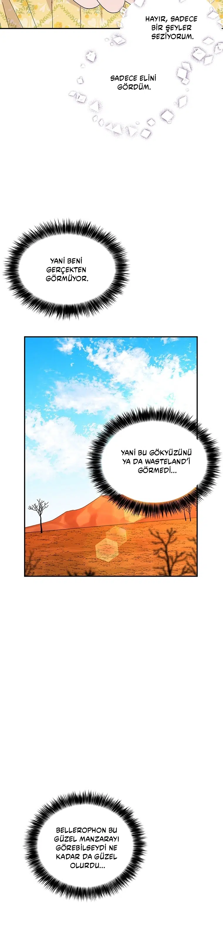 Büyünün Varisi - Bölüm 161 Sayfa 29