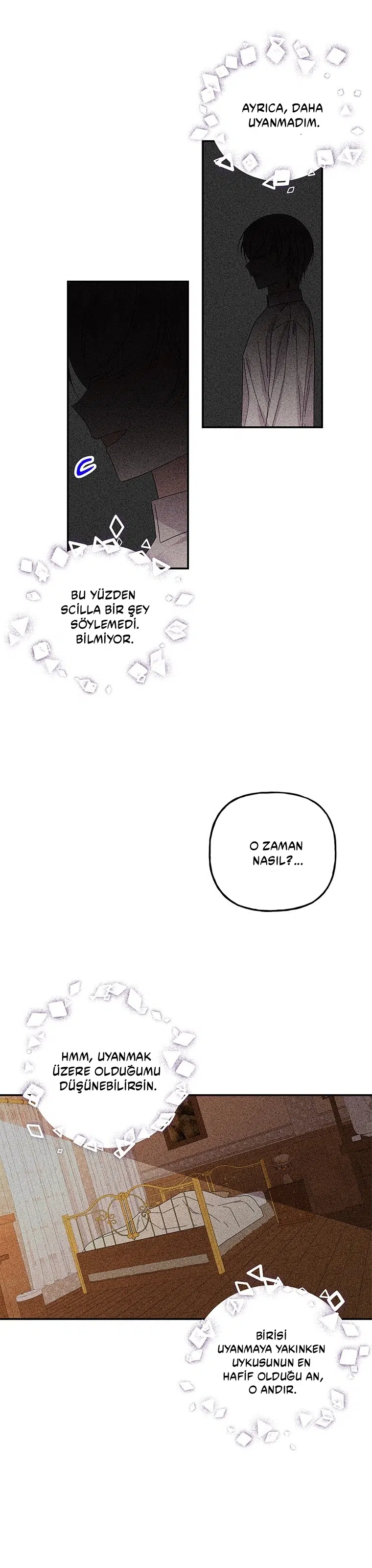 Büyünün Varisi - Bölüm 161 Sayfa 30