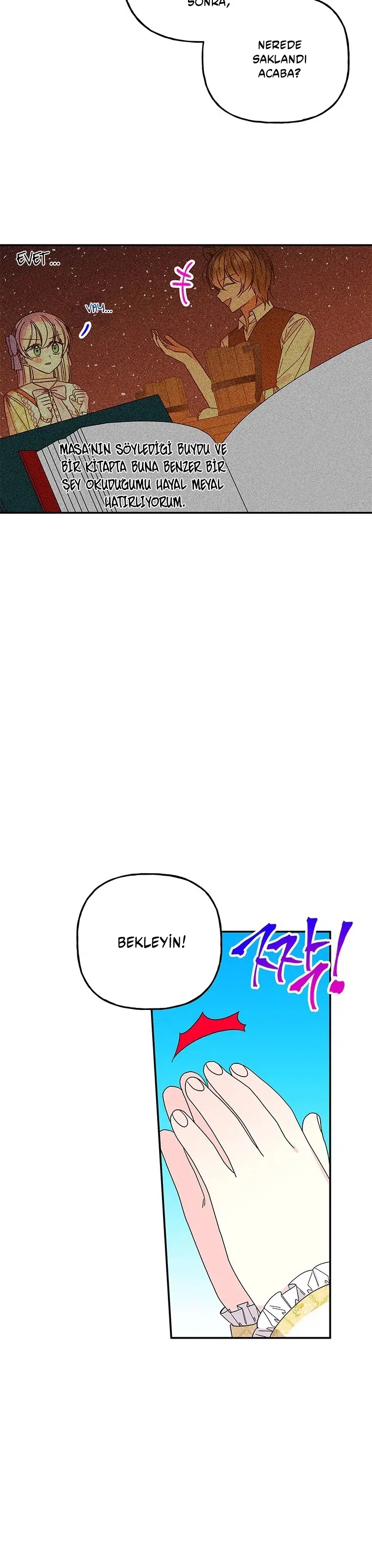 Büyünün Varisi - Bölüm 163 Sayfa 3