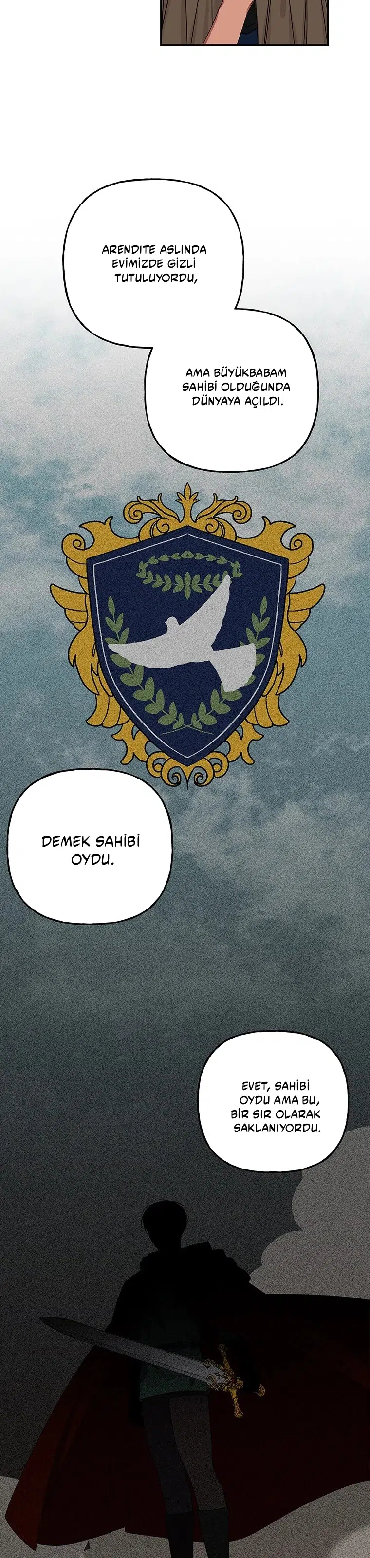Büyünün Varisi - Bölüm 163 Sayfa 11