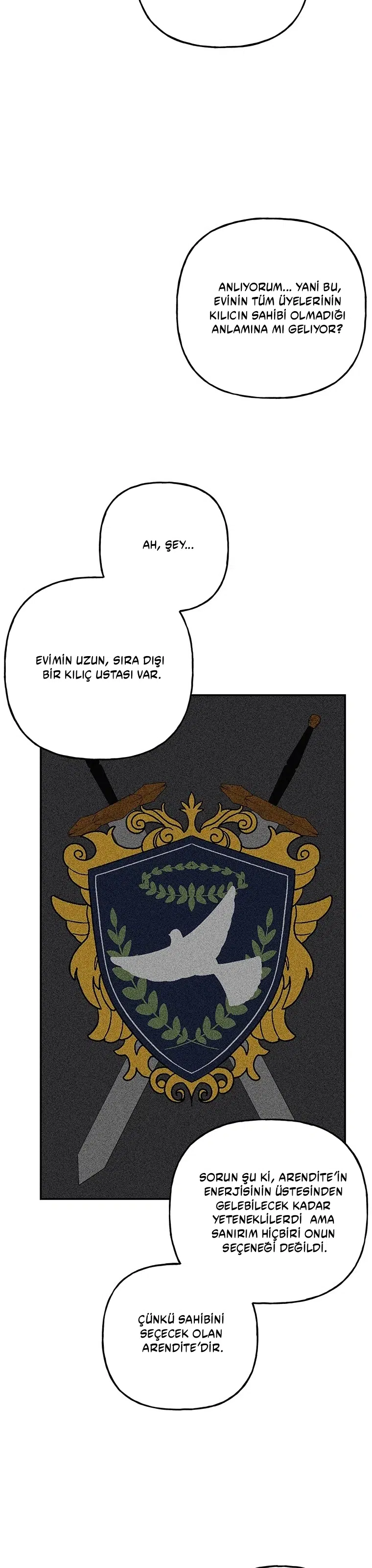 Büyünün Varisi - Bölüm 163 Sayfa 19