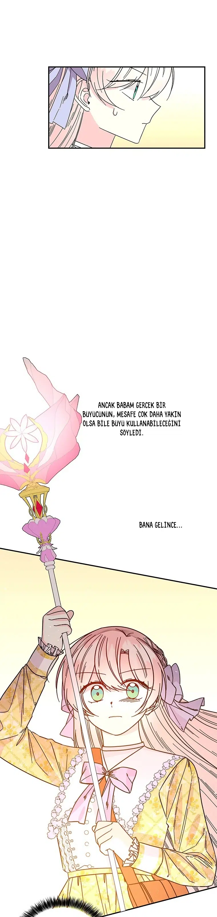 Büyünün Varisi - Bölüm 166 Sayfa 12