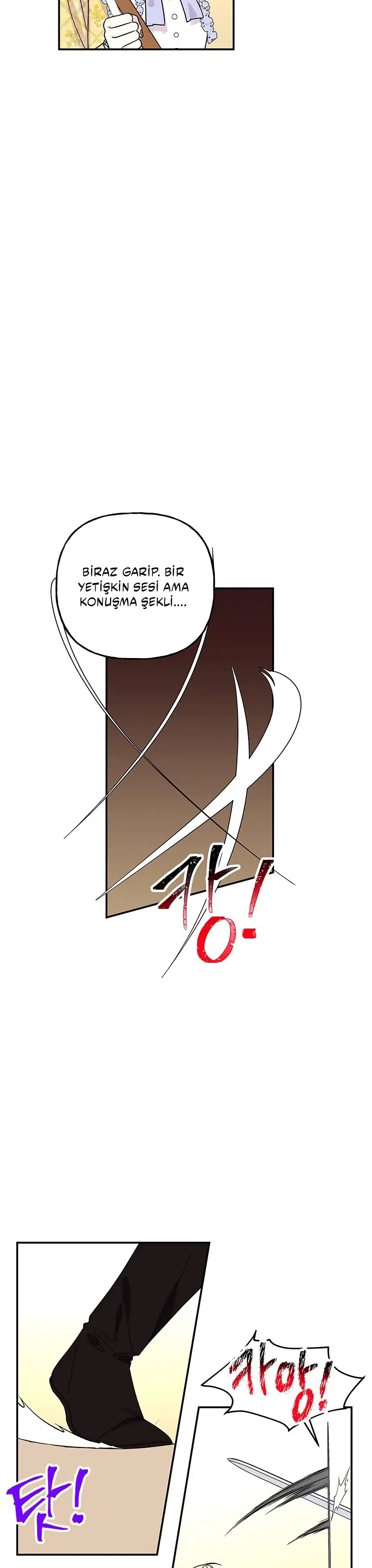 Büyünün Varisi - Bölüm 166 Sayfa 21
