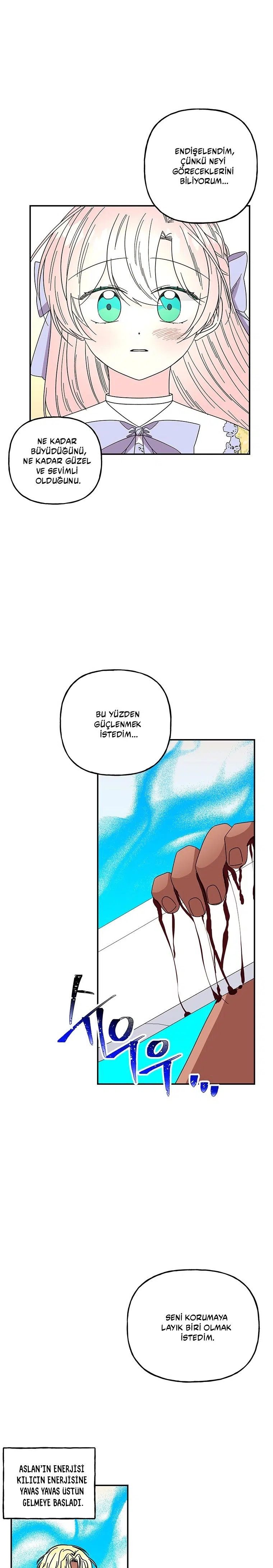 Büyünün Varisi - Bölüm 167 Sayfa 7