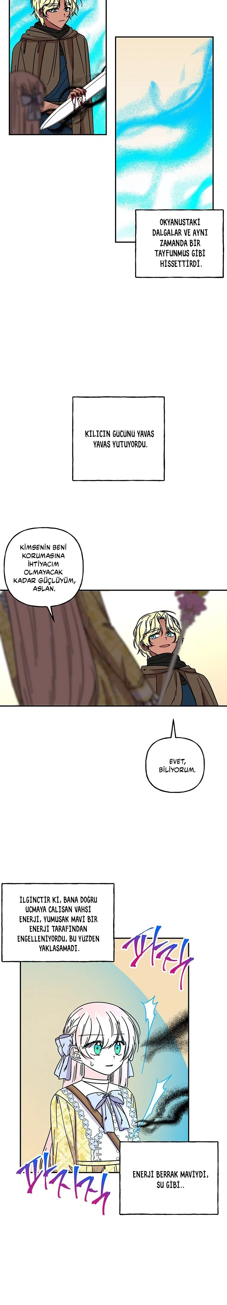Büyünün Varisi - Bölüm 167 Sayfa 8