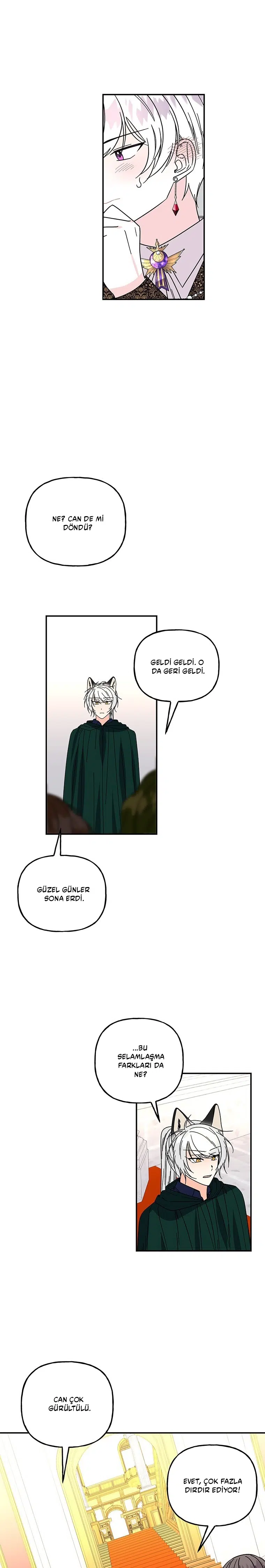 Büyünün Varisi - Bölüm 168 Sayfa 20