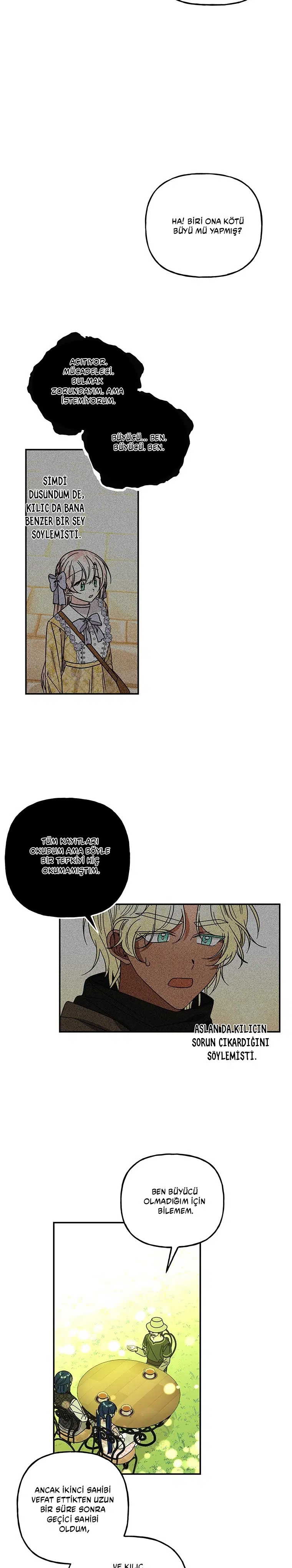Büyünün Varisi - Bölüm 169 Sayfa 16