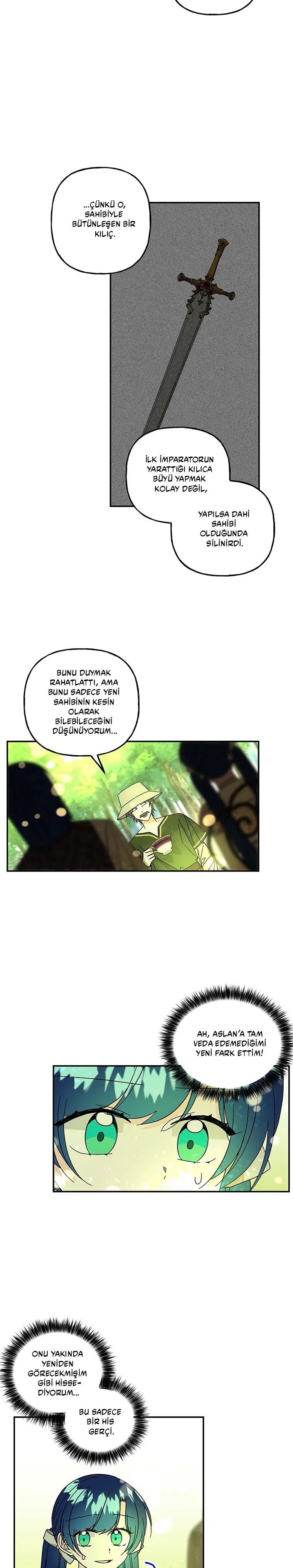 Büyünün Varisi - Bölüm 169 Sayfa 18