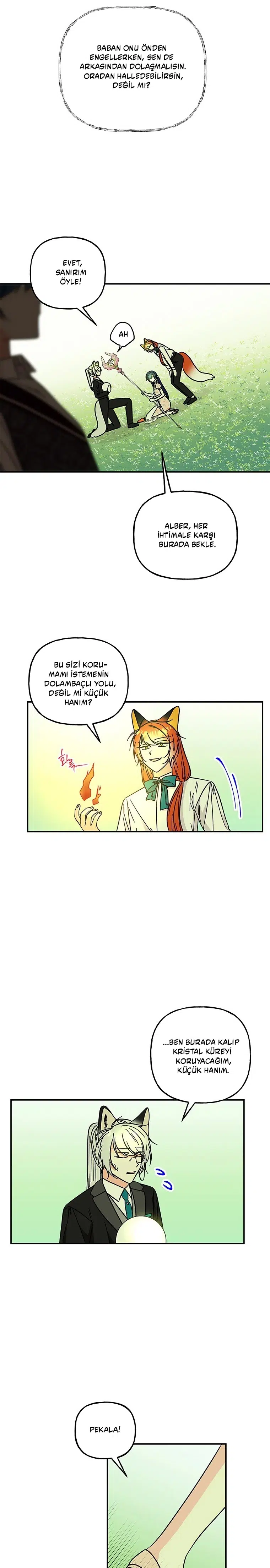 Büyünün Varisi - Bölüm 173 Sayfa 21