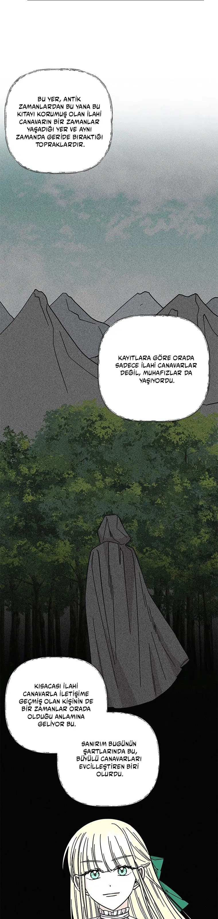 Büyünün Varisi - Bölüm 176 Sayfa 26