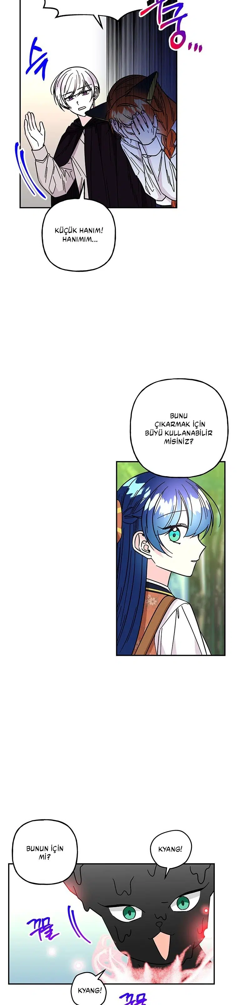 Büyünün Varisi - Bölüm 177 Sayfa 13