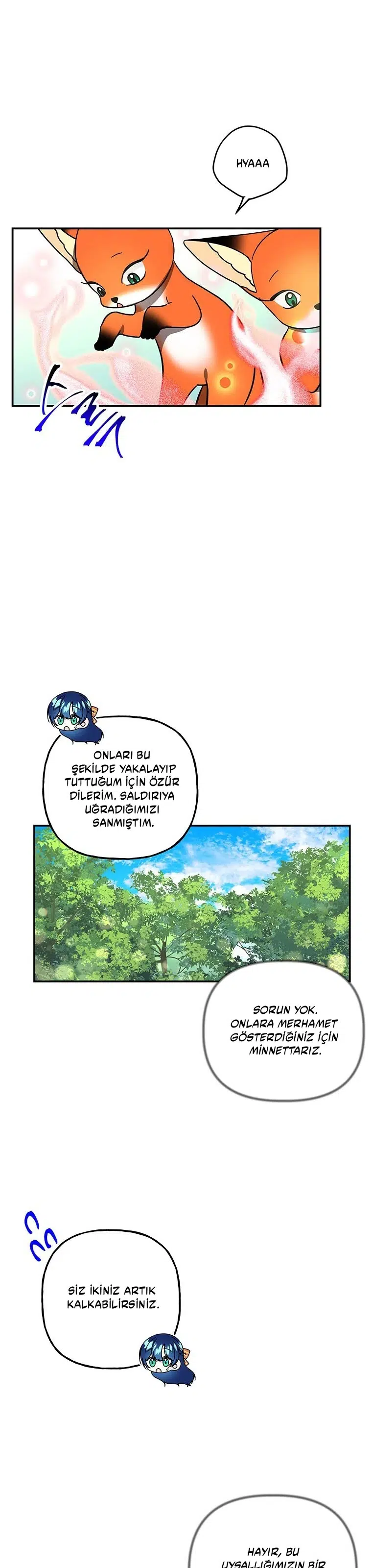 Büyünün Varisi - Bölüm 177 Sayfa 30