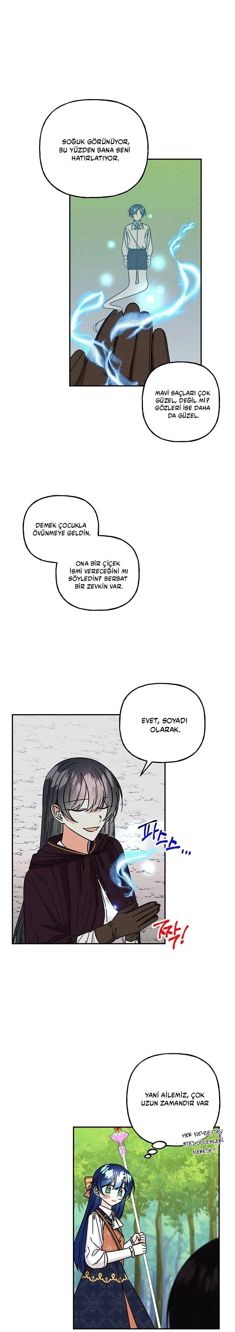 Büyünün Varisi - Bölüm 181 Sayfa 7