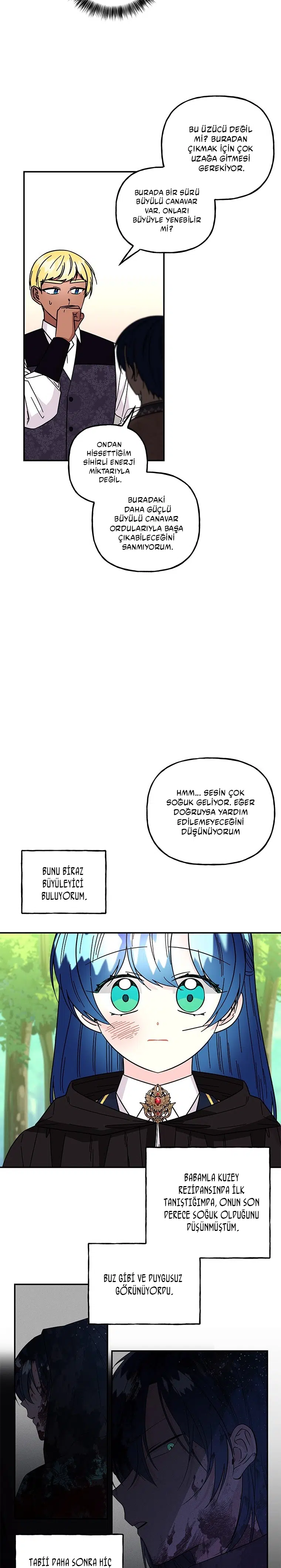 Büyünün Varisi - Bölüm 184 Sayfa 11