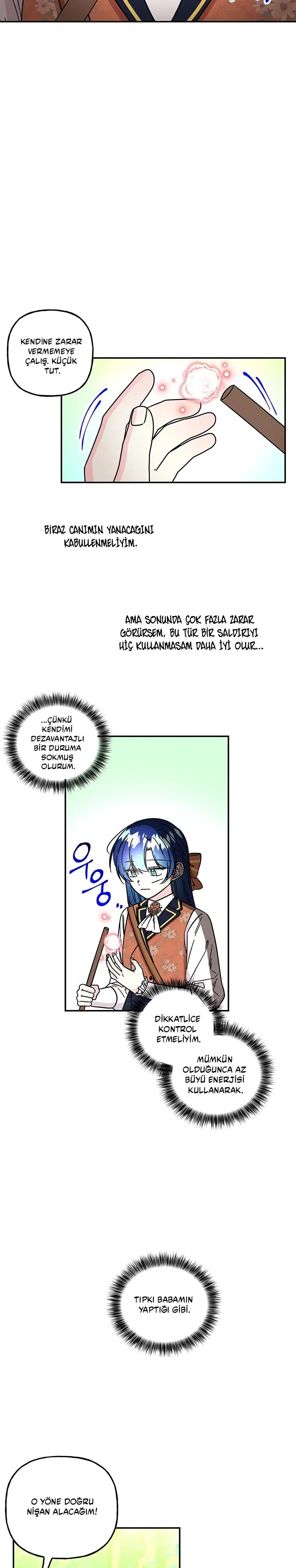 Büyünün Varisi - Bölüm 186 Sayfa 17