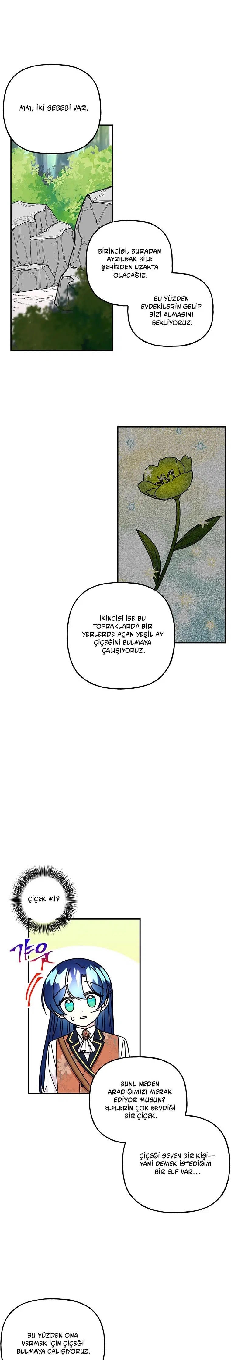 Büyünün Varisi - Bölüm 187 Sayfa 15