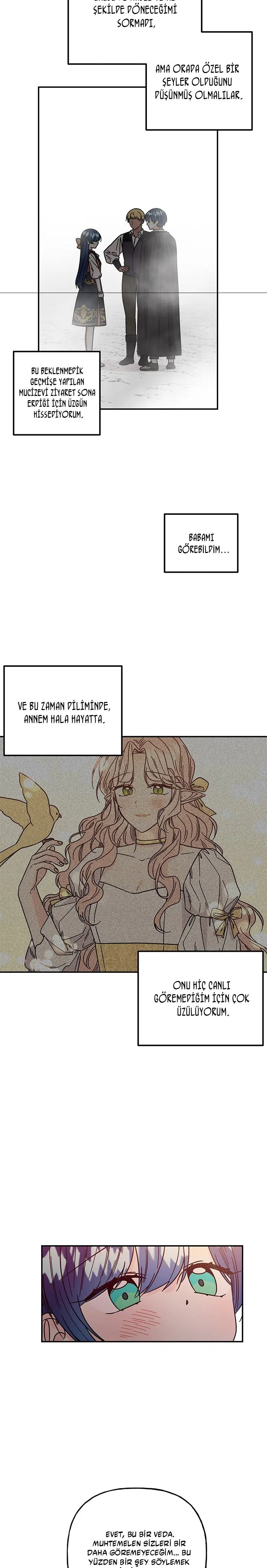 Büyünün Varisi - Bölüm 187 Sayfa 22