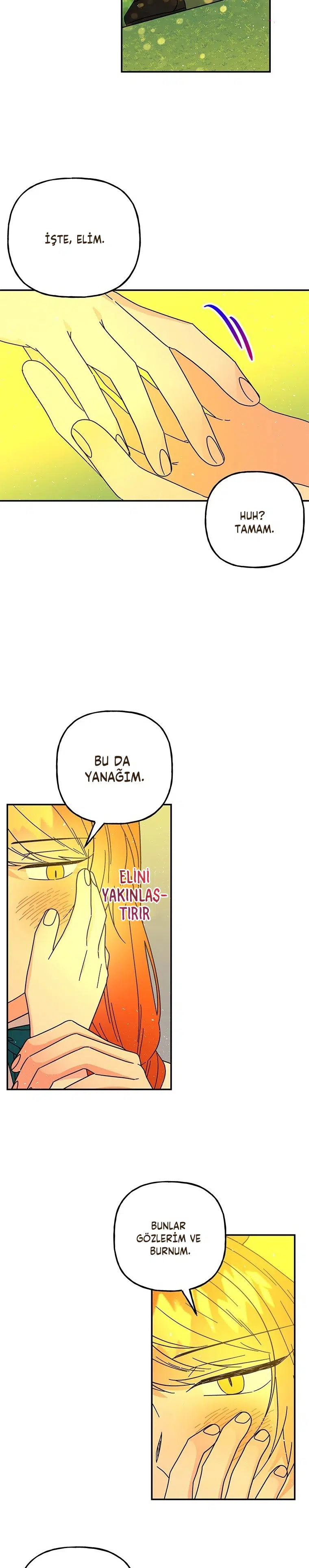 Büyünün Varisi - Bölüm 193 Sayfa 21