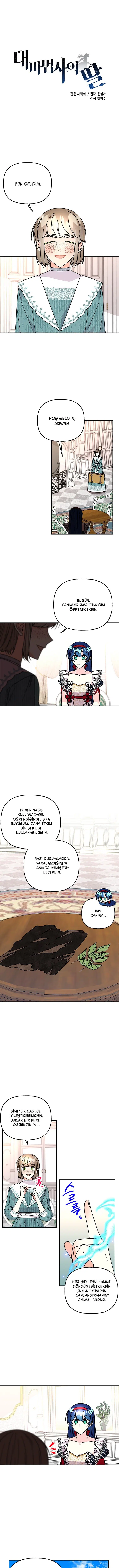 Büyünün Varisi - Bölüm 202 Sayfa 2
