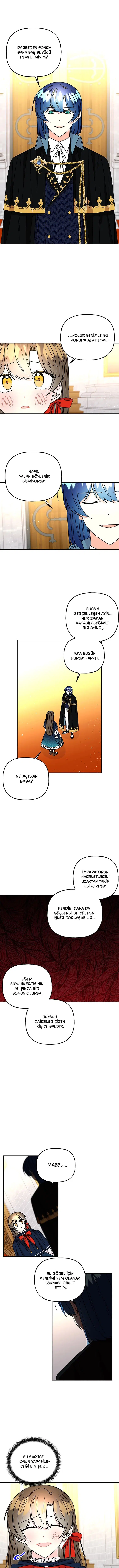 Büyünün Varisi - Bölüm 203 Sayfa 4