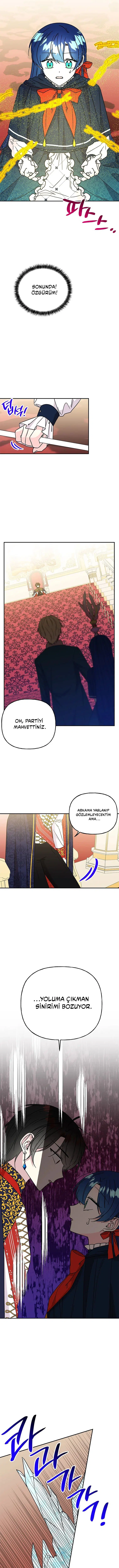 Büyünün Varisi - Bölüm 203 Sayfa 12