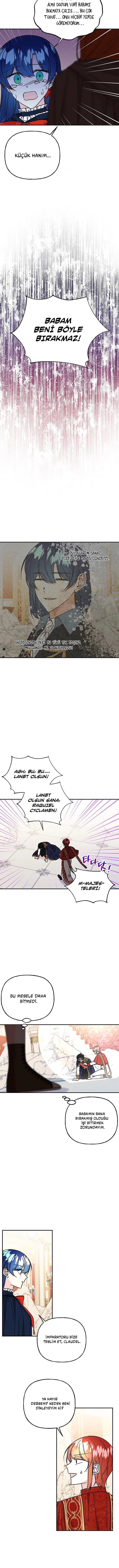 Büyünün Varisi - Bölüm 205 Sayfa 3