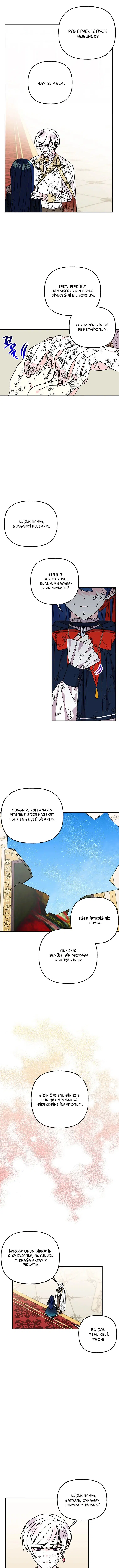 Büyünün Varisi - Bölüm 205 Sayfa 10