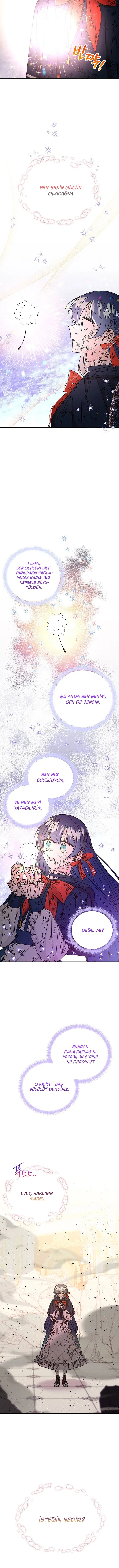 Büyünün Varisi - Bölüm 206 Sayfa 7