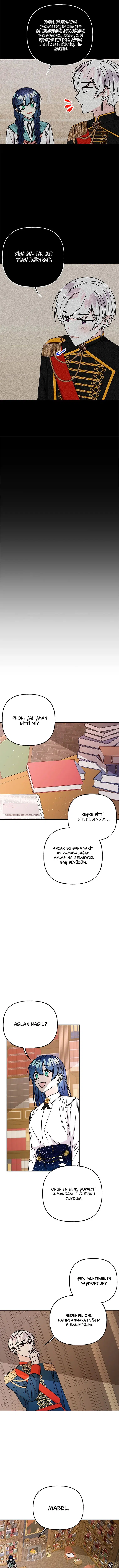 Büyünün Varisi - Bölüm 207 Sayfa 9