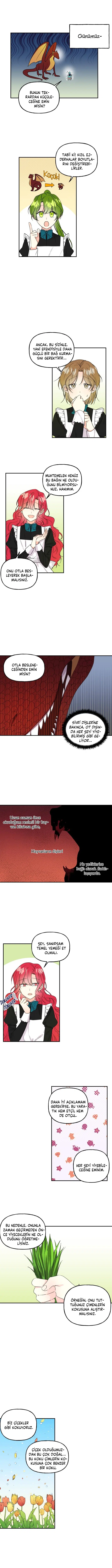 Büyünün Varisi - Bölüm 35 Sayfa 3