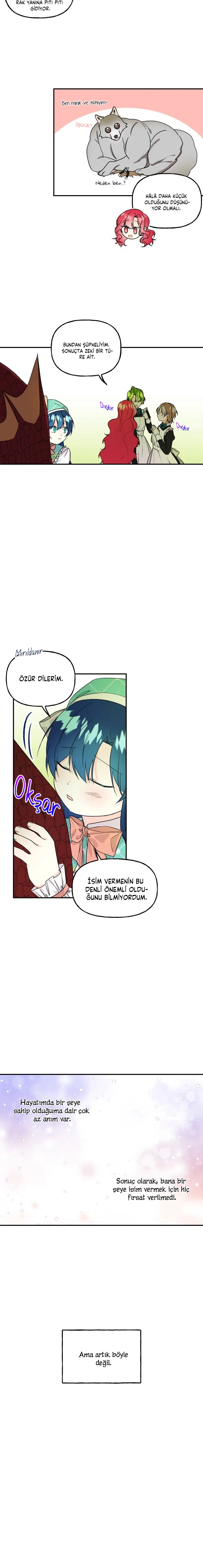 Büyünün Varisi - Bölüm 35 Sayfa 7