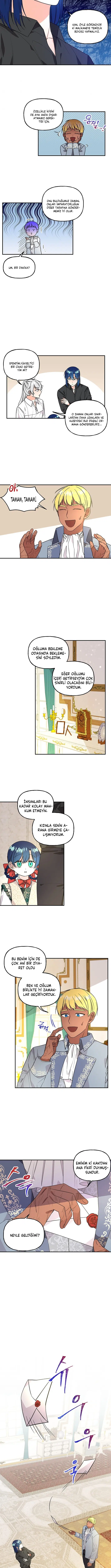 Büyünün Varisi - Bölüm 37 Sayfa 5