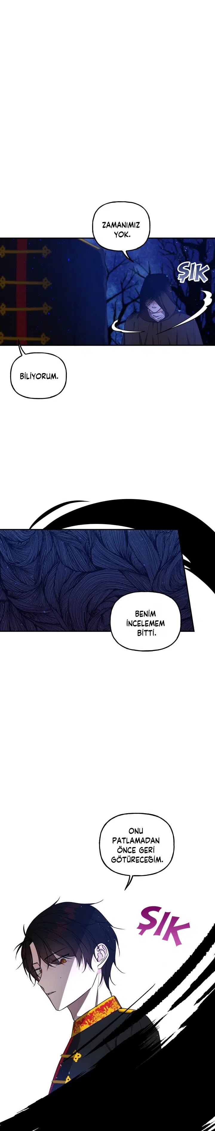Büyünün Varisi - Bölüm 47 Sayfa 7