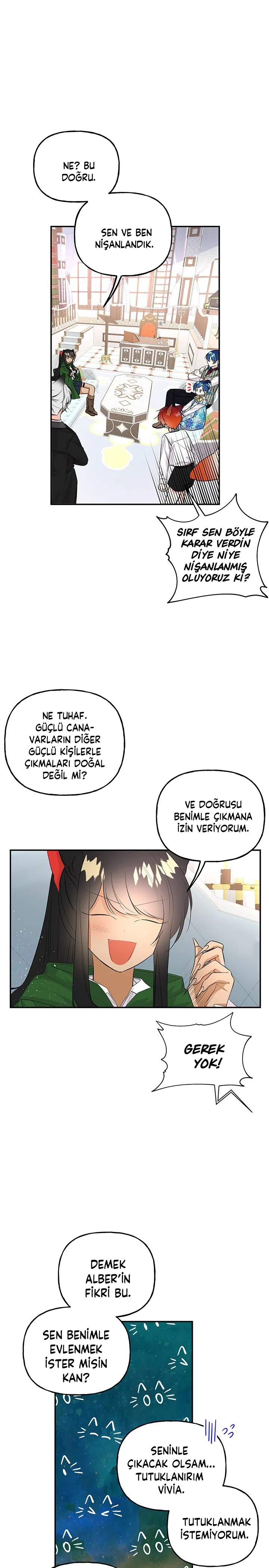 Büyünün Varisi - Bölüm 62 Sayfa 17