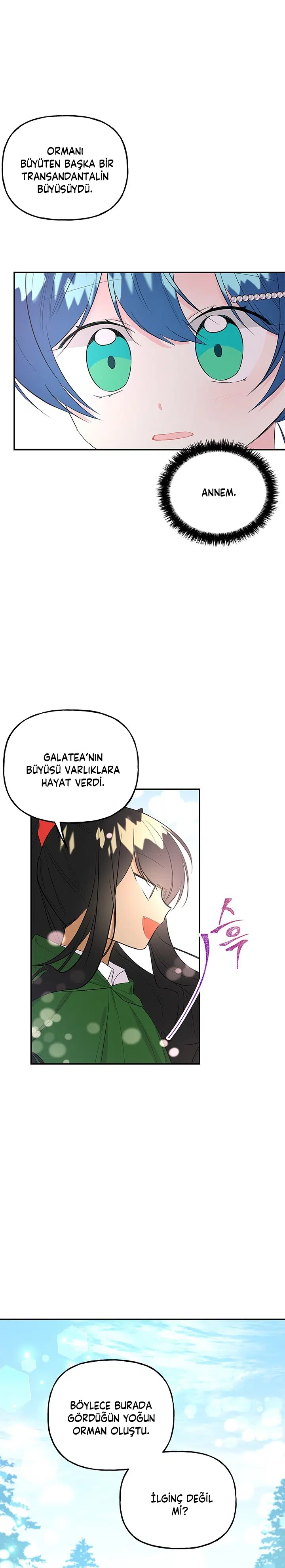 Büyünün Varisi - Bölüm 63 Sayfa 14
