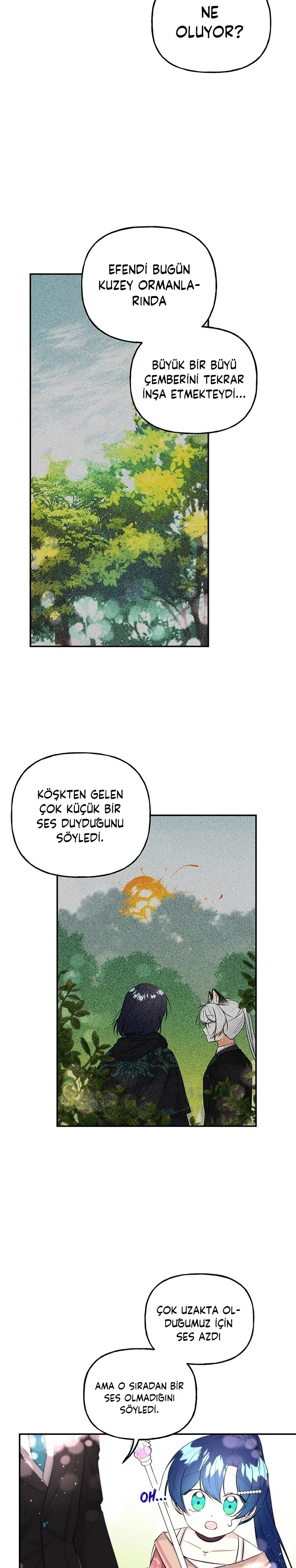 Büyünün Varisi - Bölüm 65 Sayfa 11