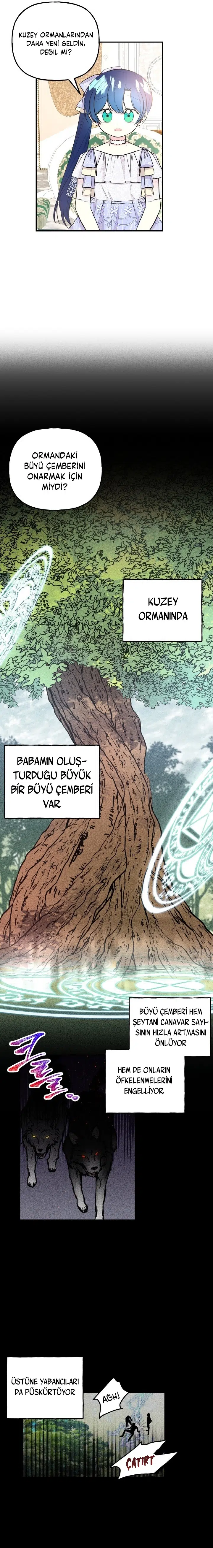 Büyünün Varisi - Bölüm 67 Sayfa 15