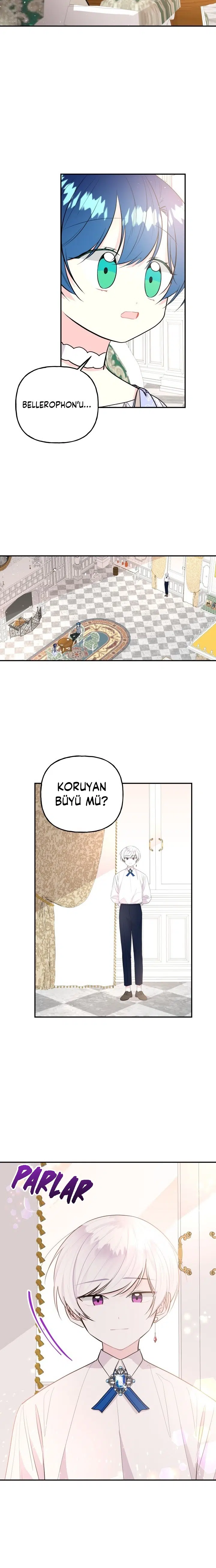 Büyünün Varisi - Bölüm 67 Sayfa 17