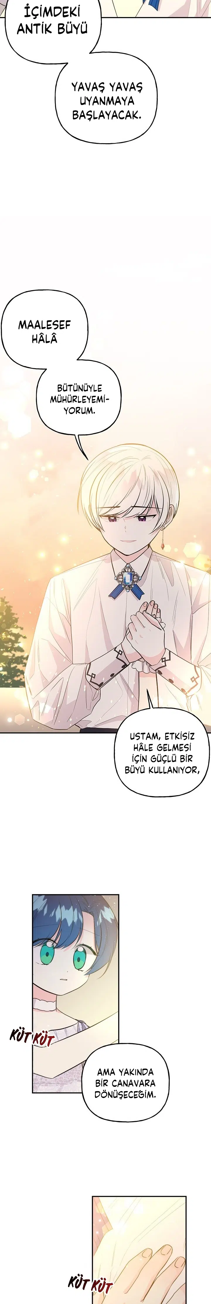 Büyünün Varisi - Bölüm 68 Sayfa 20