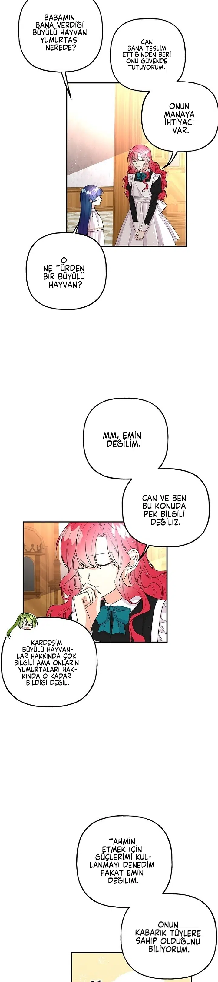 Büyünün Varisi - Bölüm 82 Sayfa 17