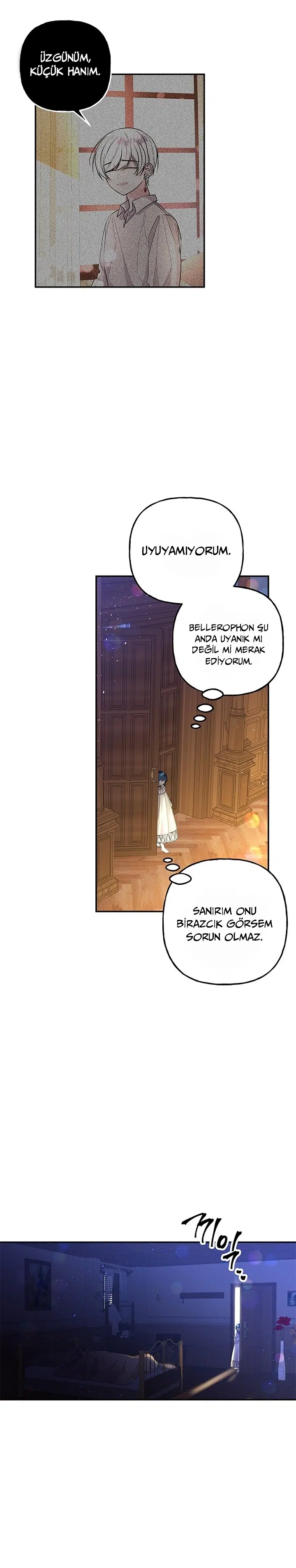 Büyünün Varisi - Bölüm 91 Sayfa 5