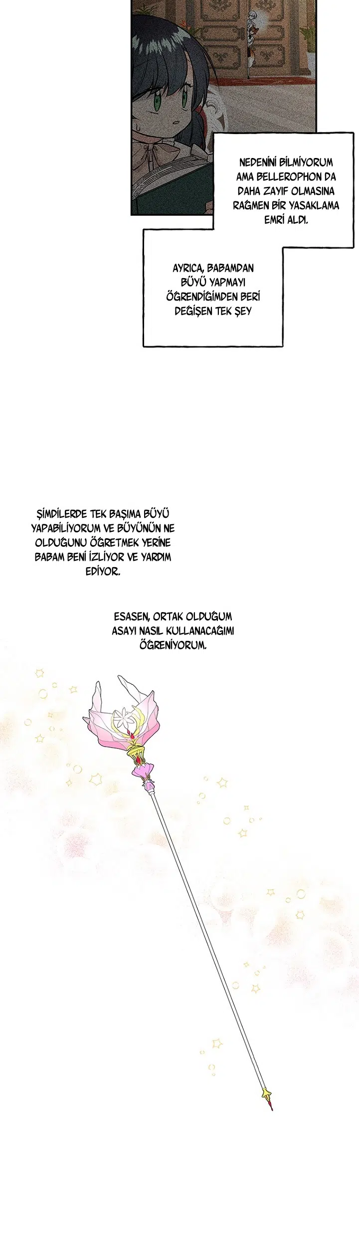 Büyünün Varisi - Bölüm 96 Sayfa 6